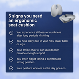 OrtoLumb - Lumbar Cushion